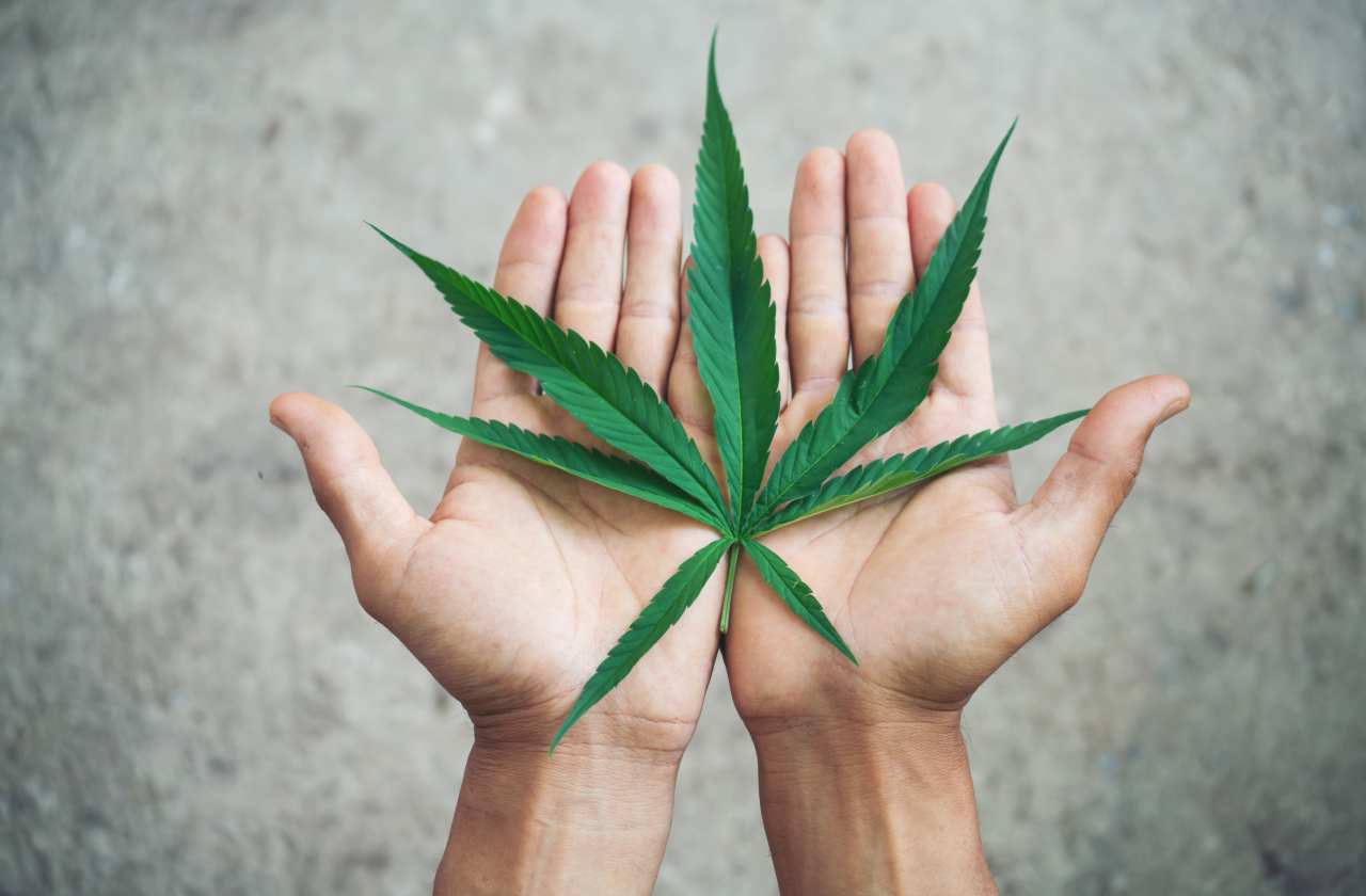 Relapse Prevention and Motivation Building